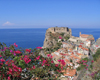 pirolo scilla (rc)